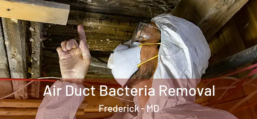 Air Duct Bacteria Removal Frederick - MD
