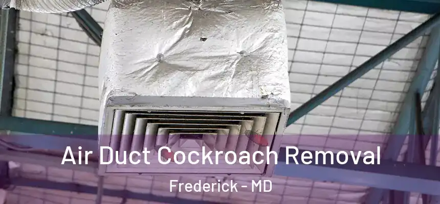 Air Duct Cockroach Removal Frederick - MD