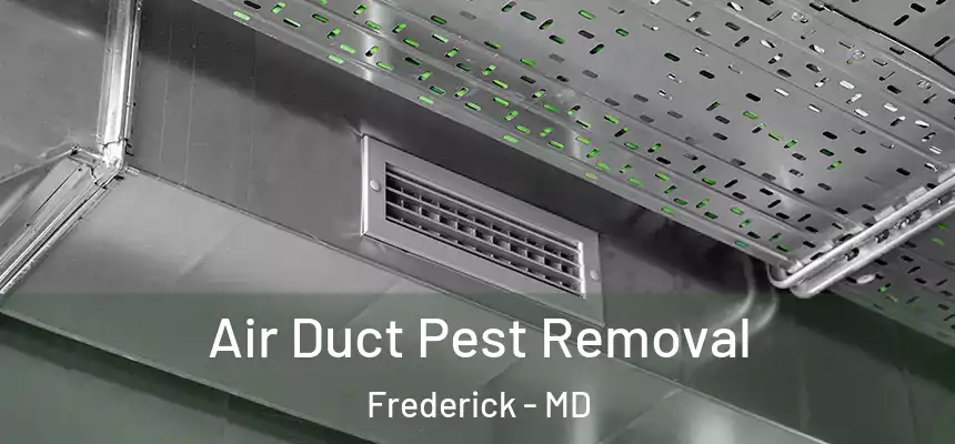 Air Duct Pest Removal Frederick - MD