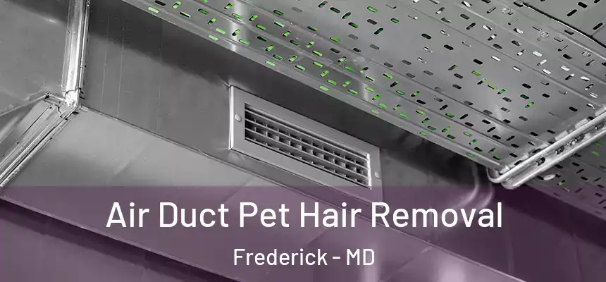 Air Duct Pet Hair Removal Frederick - MD