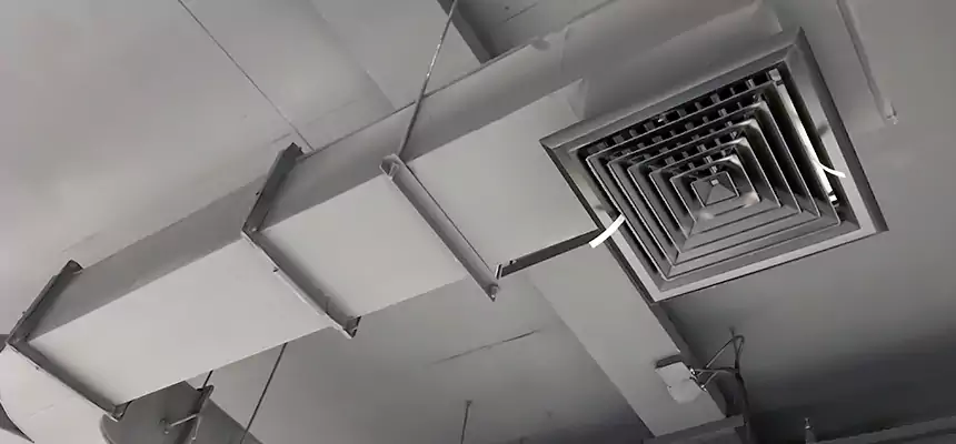 Restorative Allergy Relief Vent Cleaning – Coil, Blower & Housing Detail in Frederick