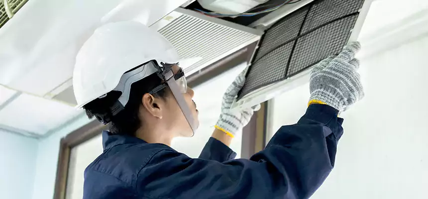 Our Mold & Mildew Removal from Air Ducts Services in Frederick, MD