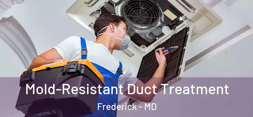 Mold-Resistant Duct Treatment Frederick - MD