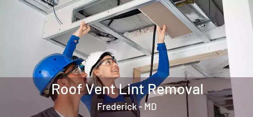 Roof Vent Lint Removal Frederick - MD