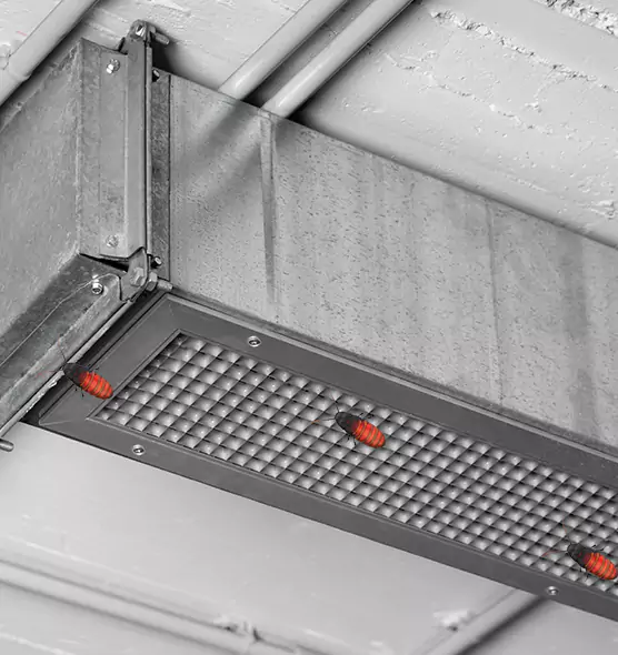 About Air Duct Cockroach Removal in Frederick, MD