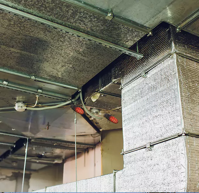 Why Homeowners & Businesses Trust Us Frederick, MD?